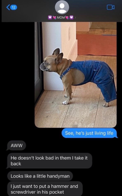 photo of dog in overalls