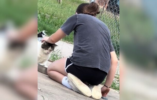 Girl carefully befriends cat with trash bag stuck on him