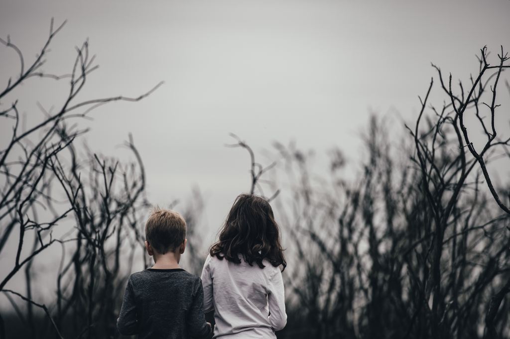 View from behind of a little girl and a little boy walking next to each other in an ominous field of branches.