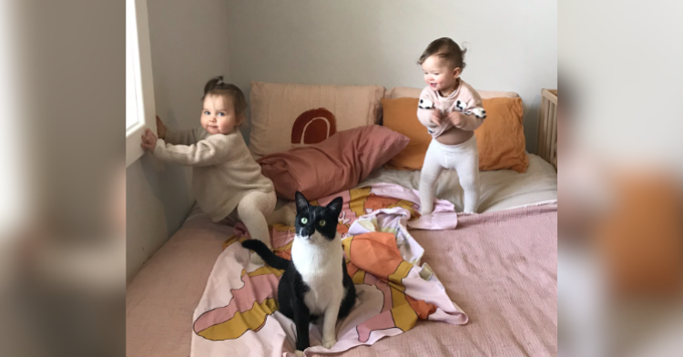 cat and twins on bed