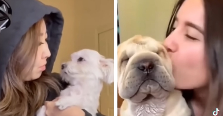 A two-photo collage. The first shows a close up of a woman looking at her white dog as she holds them in her arms. The dog is staring lovingly at her with puppy eyes. The second photo shows a close up of a woman kissing the side of her dog's face. The dog looks like they are closing their eyes, too.