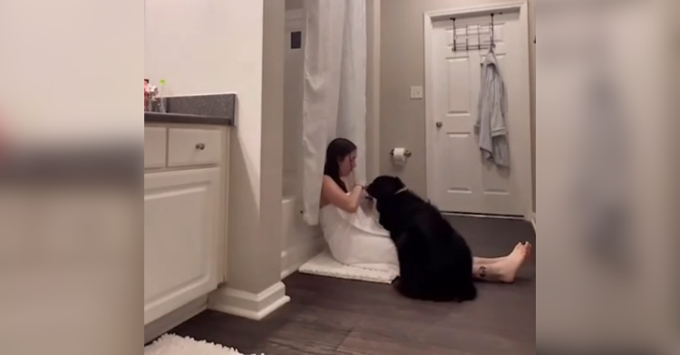 dog sits next to girl coming out of the shower