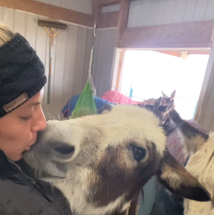 A woman gives a rescue donkey kisses on the nose.