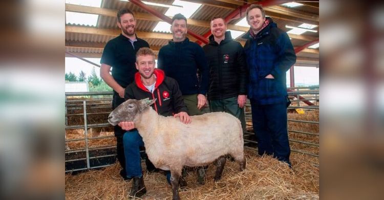 Five farmers standing around the sheep they rescued.