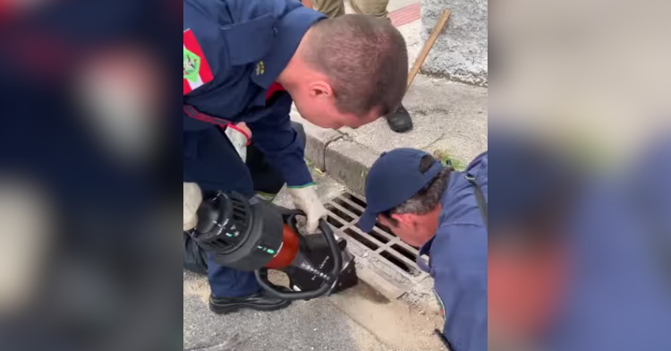 firefighters removing sewer grate