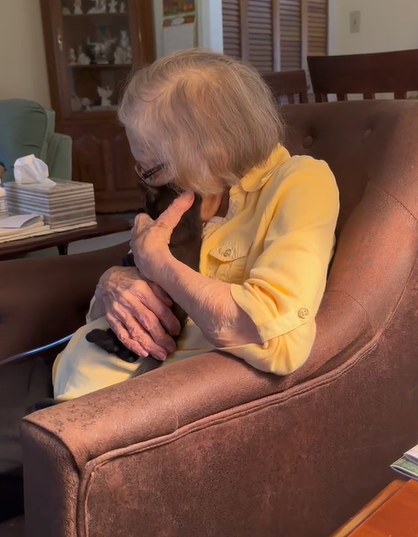 A grandma cuddles with a baby kitten.
