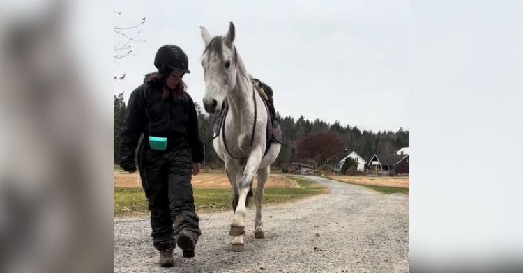 A horse attempts to walk like her owner, who is limping.