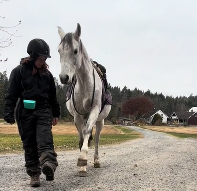 A horse copies her owner's limp.