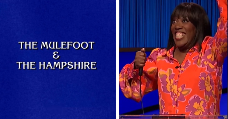 A two-photo collage. The first shows a "Celebrity Jeopardy!" prompt that reads "The Mulefoot & The Hampshire." The second photo shows Sheryl Underwood excitedly raise a hand with one hand and hits the "Jeopardy" button with the other.