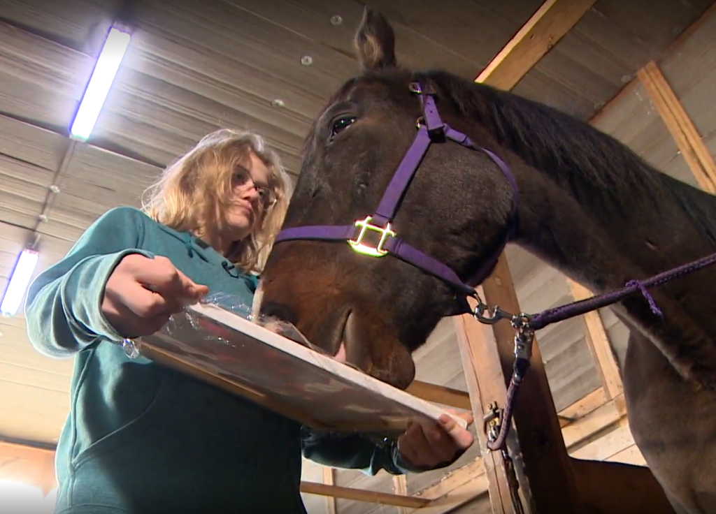 A teenage girl helps a horse paint with his mouth.