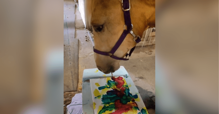 horse painting