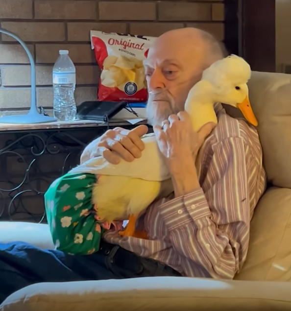 emotional support duck and man