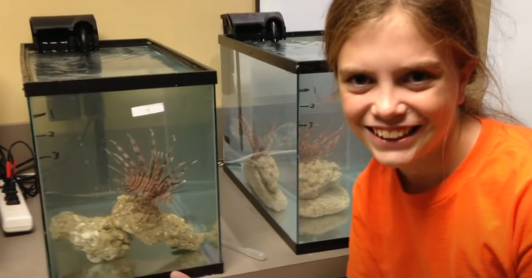 Girl standing in front of lionfish in aquarium.