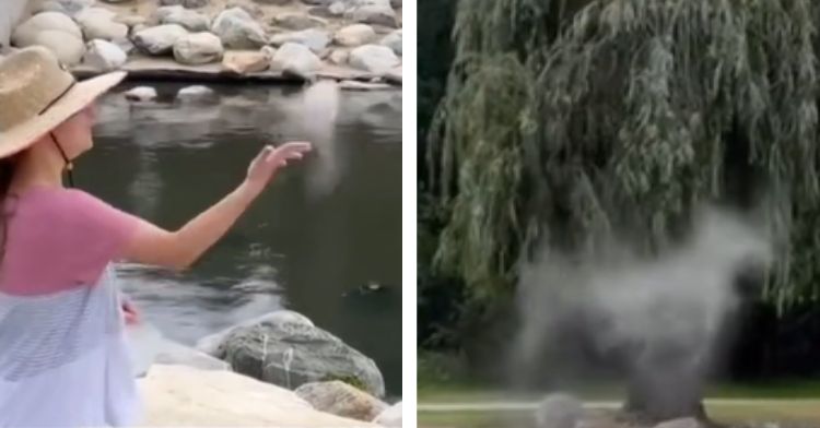 A woman sees the shape of a dog while spreading ashes.