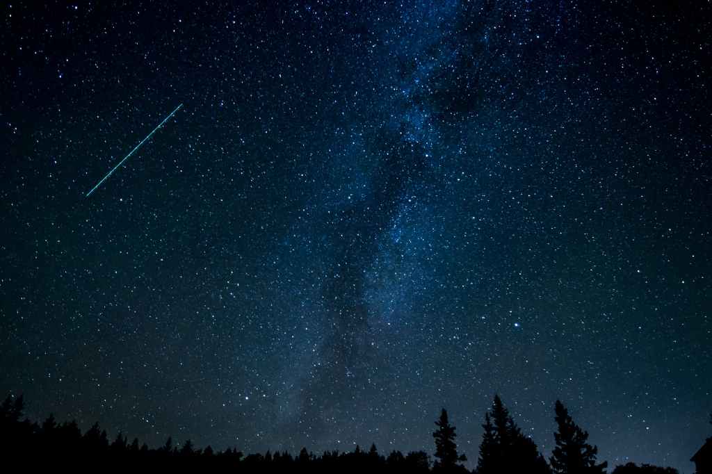 Dark blue sky with lots of stars and a meteor. Shadows of a tree line can be seen at the bottom of the photo.