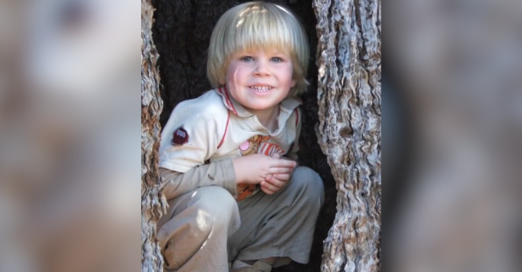 Little Robert Irwin inside a tree stump