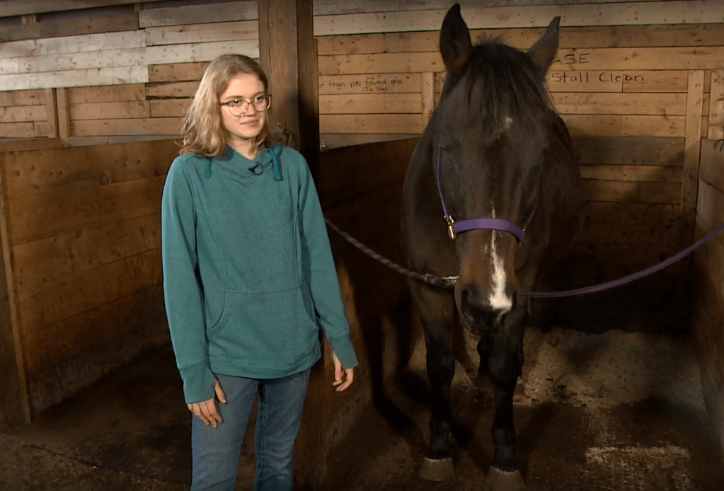 A teenage girl and a former racehorse have a special connection.