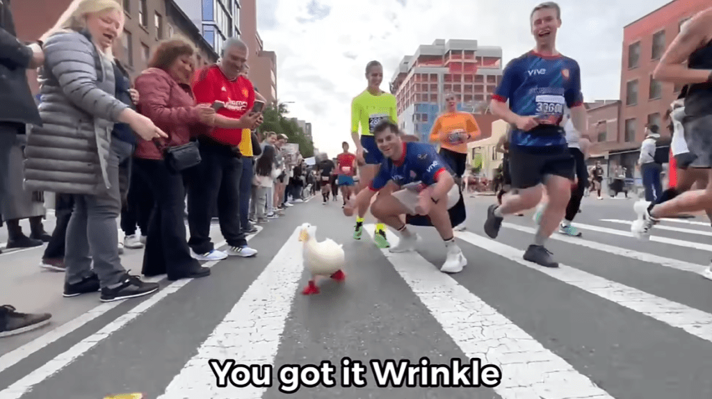 Wrinkle the Duck waddles down the road with fellow New York City Marathon runners. One human runner squats near Wrinkle and gives her two thumbs up. Text on the image shows what this runner is saying: You got it, Wrinkle!