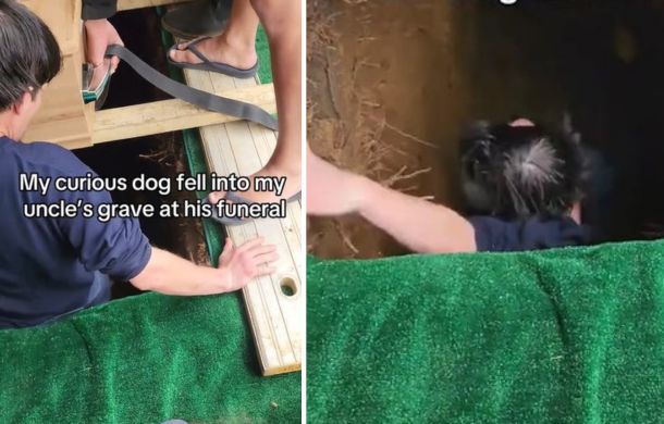 A young man climbs into a grave to rescue a pup that had fallen in.