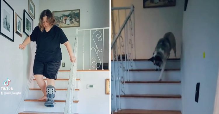 Navigating stairs with a broken ankle is hard enough. When your dog's reaction is to imitates your slow progress the results are hilarious.