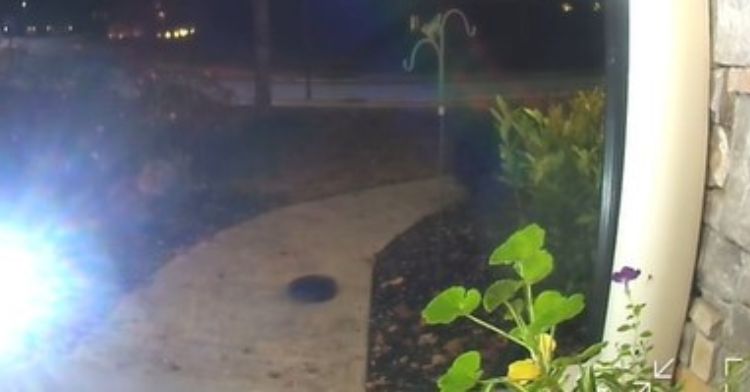 Wanted: Fugitive Roomba Makes Clean Escape After “Breaking” Out Of Family’s Home.