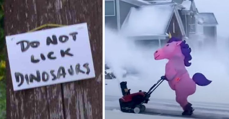 Funny neighbors keep us laughing. Left image shows a sign that reads, "Do not Lick Dinosaurs. Right image shows someone using a snowblower while wearing a unicorn inflatable suit.