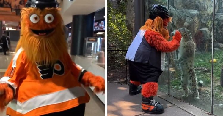 Philadelphia Flyers mascot Gritty visits the zoo.