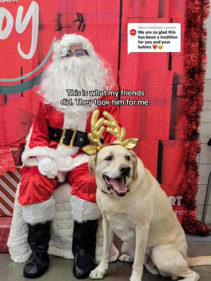 dog getting santa photos taken