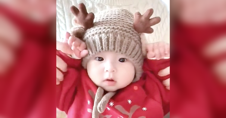 baby reindeer