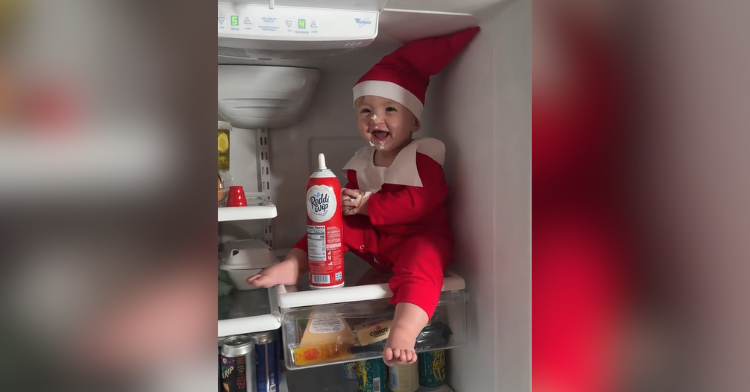 baby elf on the shelf in fridge
