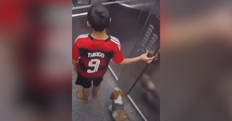 boy in elevator with dog