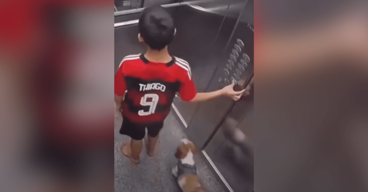 boy in elevator with dog