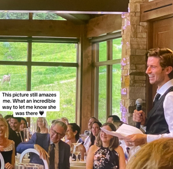 Guests at a wedding reception are all seated except for one man who stands with a mic, giving a speech. A deer stands outside at a distance, watching them, seemingly the bride's late mother giving a sign.

Text on the screen reads:

This picture still amazes me. What an incredible way to let me know she was there