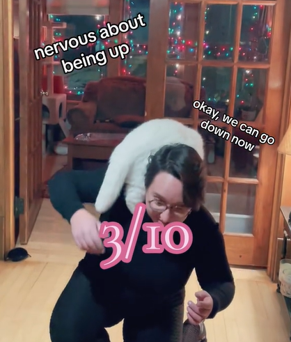 WonderBread, one of Alex's cats, recreate the photo of Taylor Swift and Benjamin did for Time magazine. Alex is on her knees as WonderBread tries to get off of her.
Text on the image reads:
Nervous about being up
Okay, we can go down now
3/10