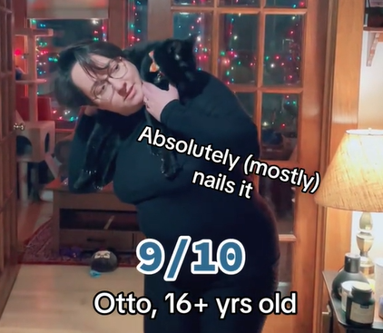 Otto, one of Alex's cats, recreate the photo of Taylor Swift and Benjamin did for Time magazine. Otto rests pretty limply around Alex's shoulders.
Text on the image reads:
Absolutely (mostly) nails it
9/10
Otto, 16+ yrs old
