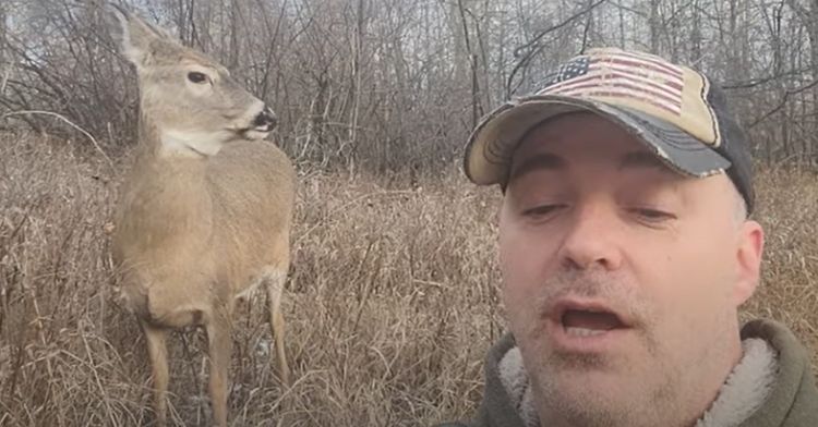 A man reads Shakespeare out loud to a deer in the woods.
