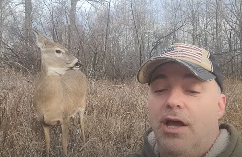 A man reads Shakespeare out loud to a deer in the woods. 