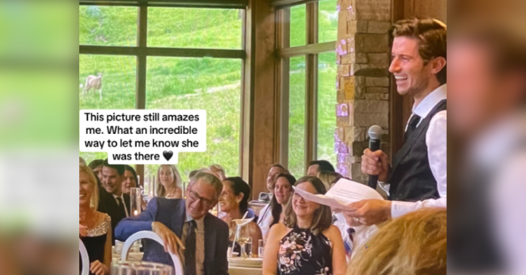 Guests at a wedding reception are all seated except for one man who stands with a mic, giving a speech. A deer stands outside at a distance, watching them, seemingly the bride's late mother giving a sign.