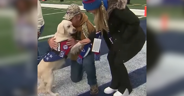 Disabled veteran hugs his NFL surprise, a service dog named Storm.