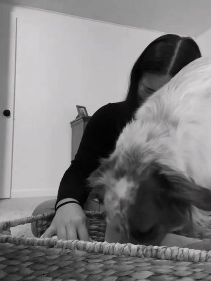 Dog sniffs through a basket, there to comfort Mom after her miscarriage.