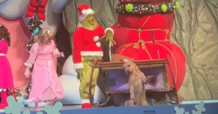 A scene from Universal Studio's play called The Grinchmas Who-liday Spectacular. The Grinch and another character stand next to a sleigh full of gifts. A dog, Max, stands near them on his hind legs, seemingly dancing.