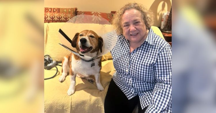 An elderly woman sits with her neighbor's dog.