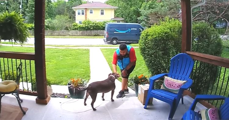 An Amazon driver makes friends with a dog on the front porch.