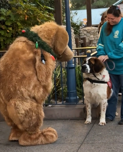 A service dog meets Dug from Pixar's "Up."