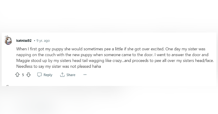 excited puppy reddit post