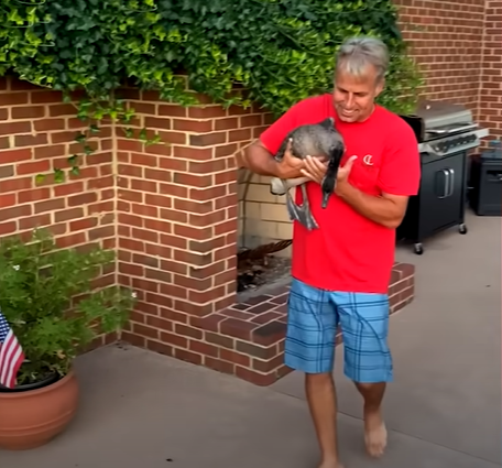 Hailey's dad smiles as he walks outside while holding Danny the goose in his arms.
