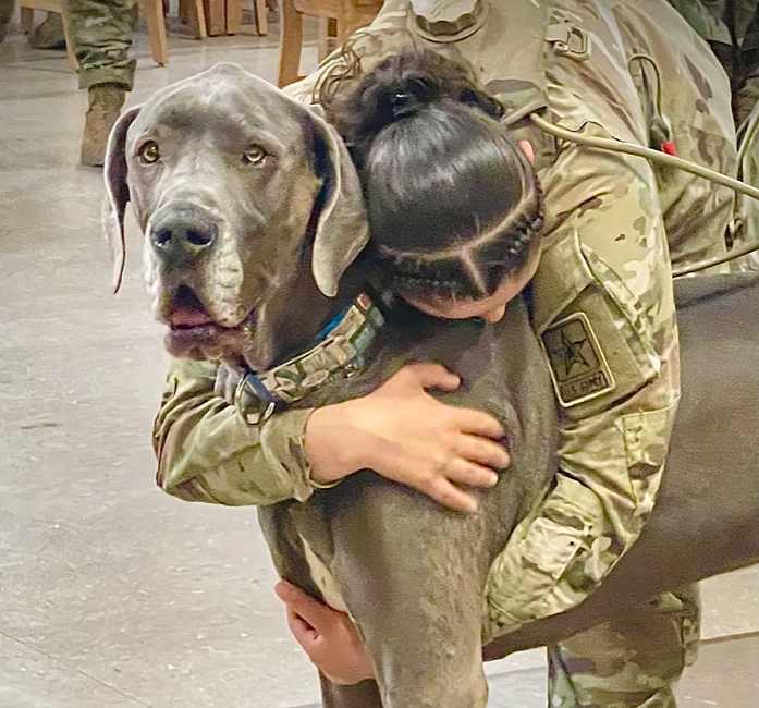 Maverick, the hero dog of 2023, looks at the camera as a woman in a military uniform bends down and hugs him from behind.