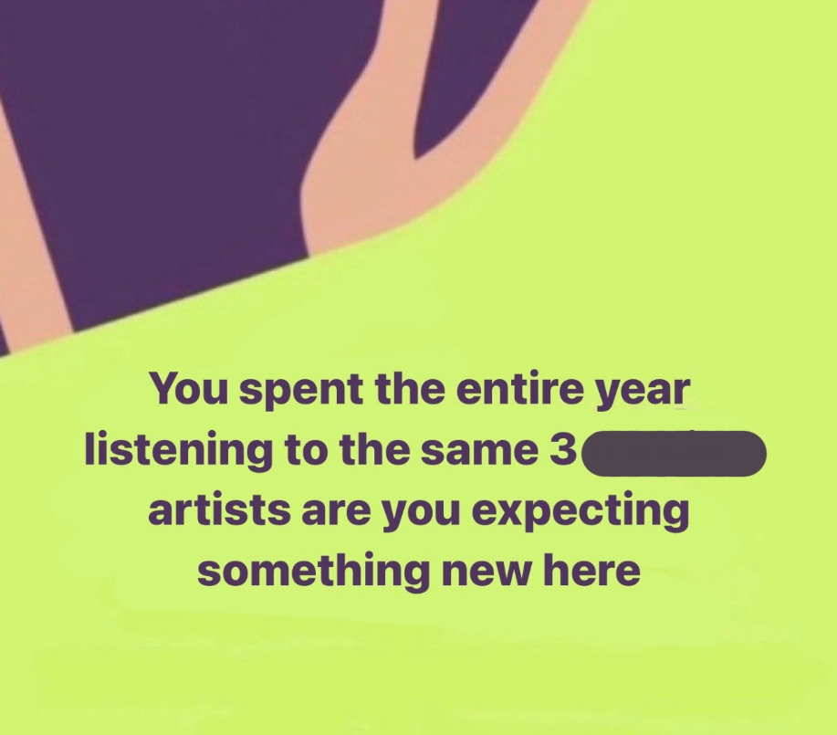 Graphic made to look like a Spotify Wrapped image. Text on the image reads:

You spent the entire year listening to the same 3 [REDACTED] artists are you expecting something new here