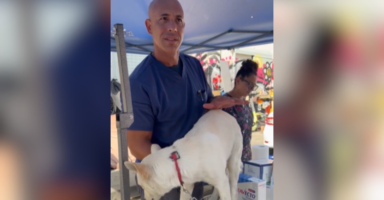 Kwane Stewart, the 2023 CNN Hero of the Year stands at a table outside, treating a dog.