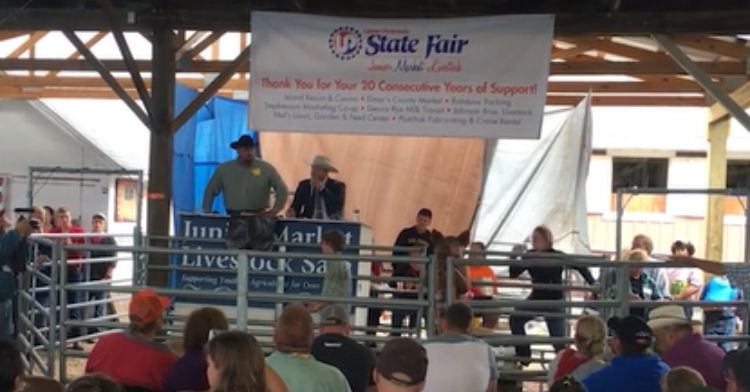 An auctioneer sells a terminally ill boy's pig at a livestock auction.